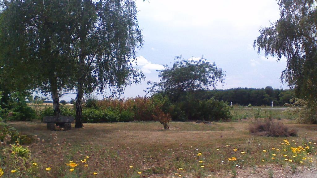 La Maladiere *